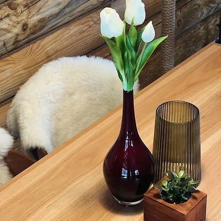 Brvnara Bor Ribnica (Cajetina)