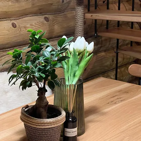 Chalet Brvnara Bor Ribnica (Cajetina)